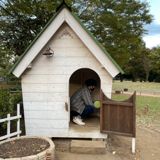 まーしょ