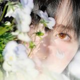ぴの
