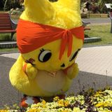 にこ☺︎