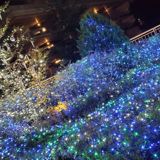 さささ