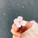 ねね