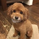 maru