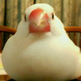 あず