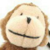pekoe