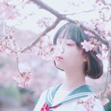 葉留花