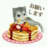 チャトラまみれ