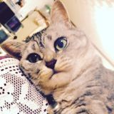 サオリ