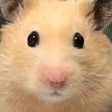 もふ