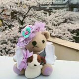 さき