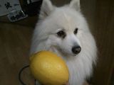 むろP