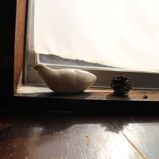 いしし