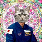 T2G