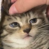 ちちゃん