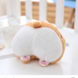 しょーた