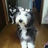 shiji&maru
