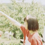 もみ