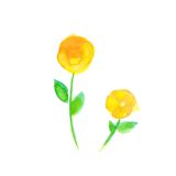 さく