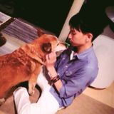 shoma