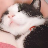 ざわわ