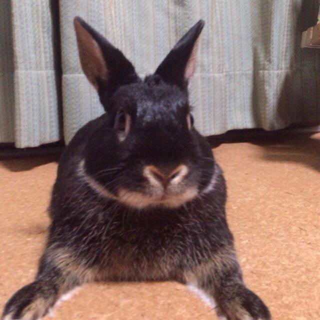 みもなみ