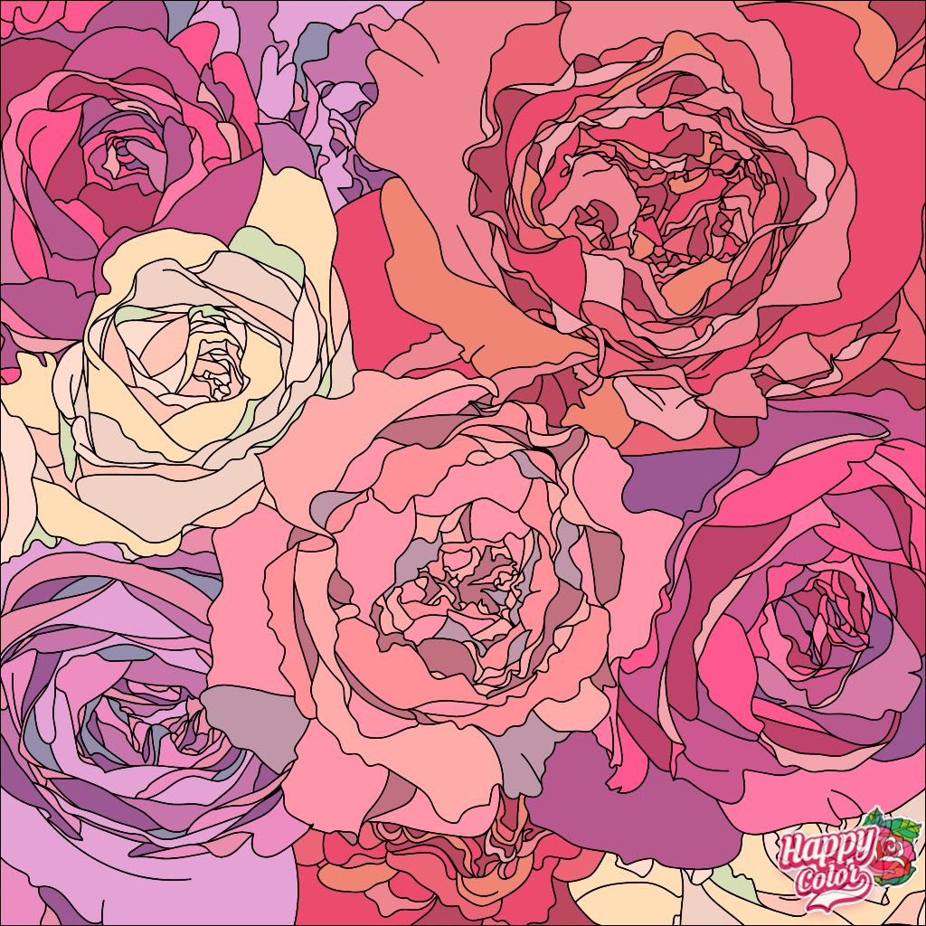 ぷぴよ
