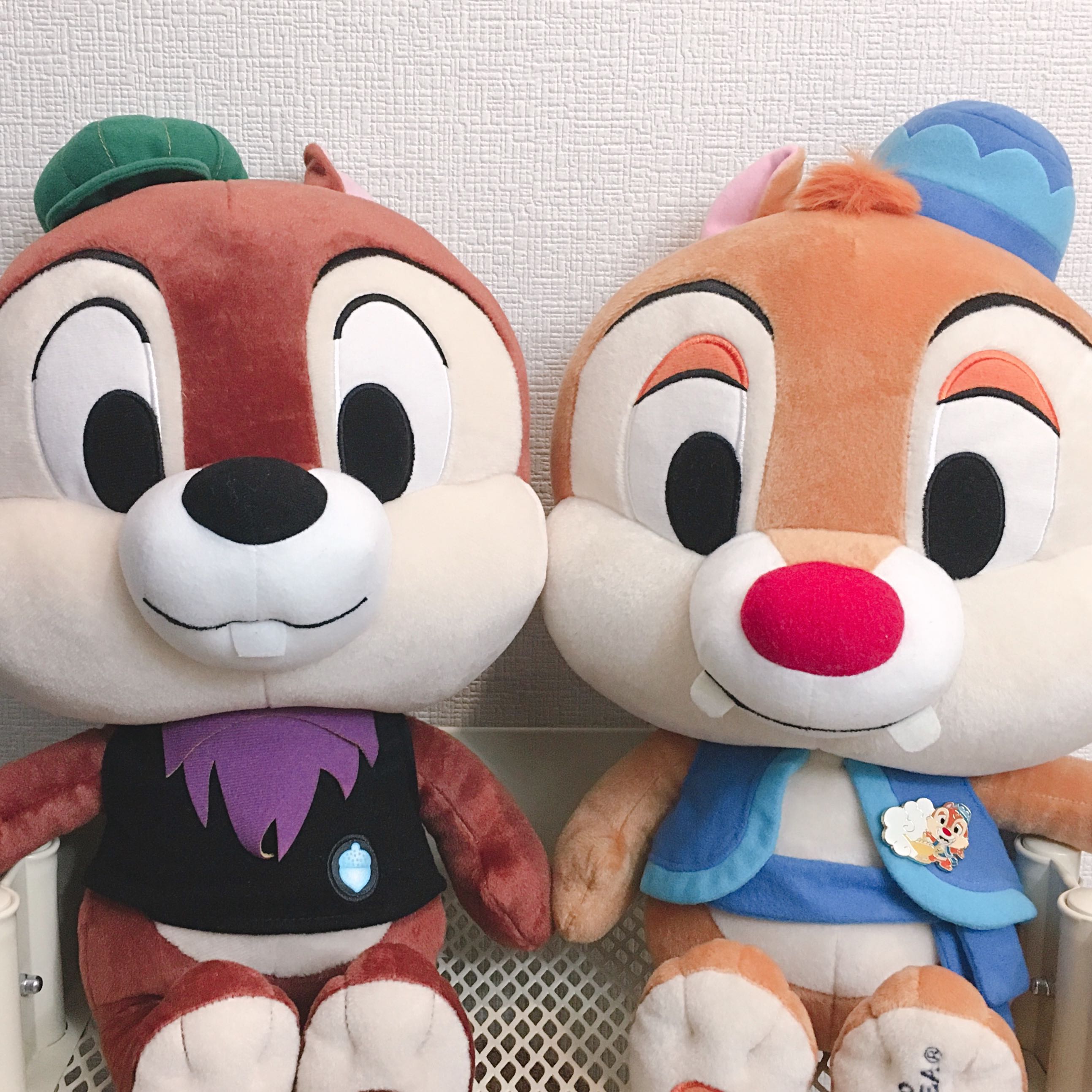 こむぎ