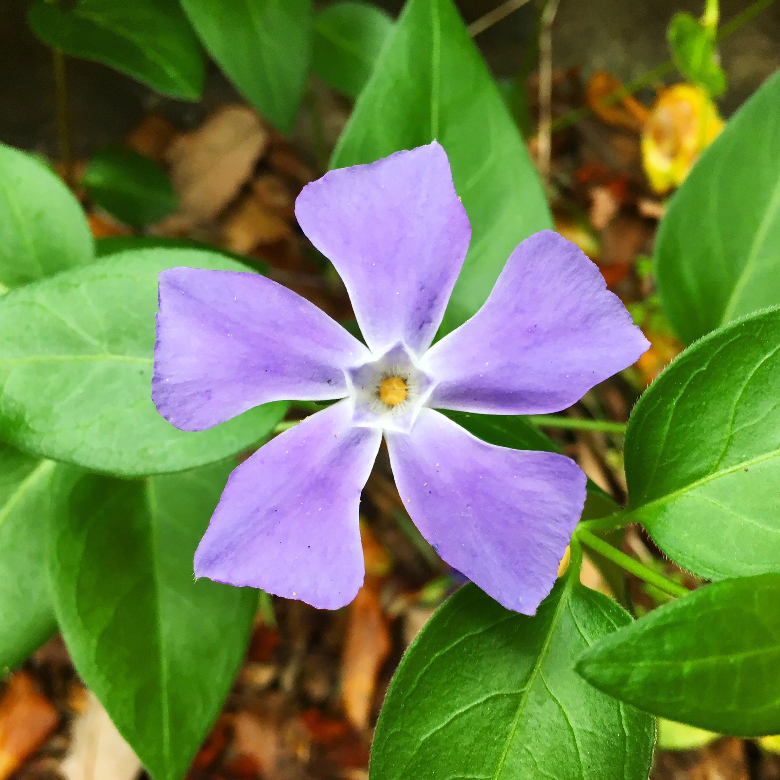 na__m__da