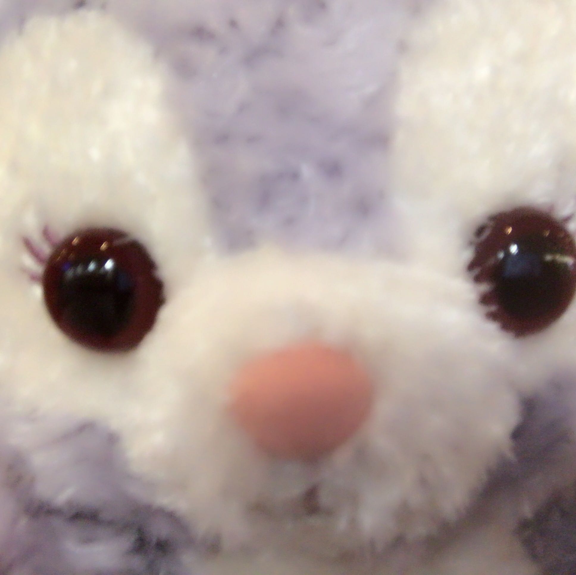あゆ