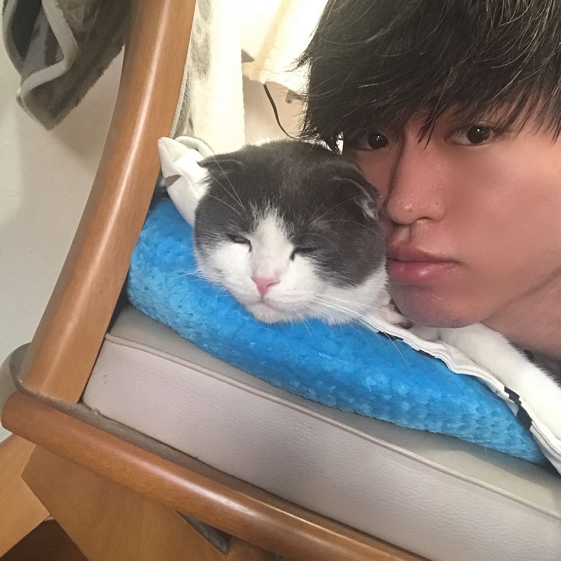 のり
