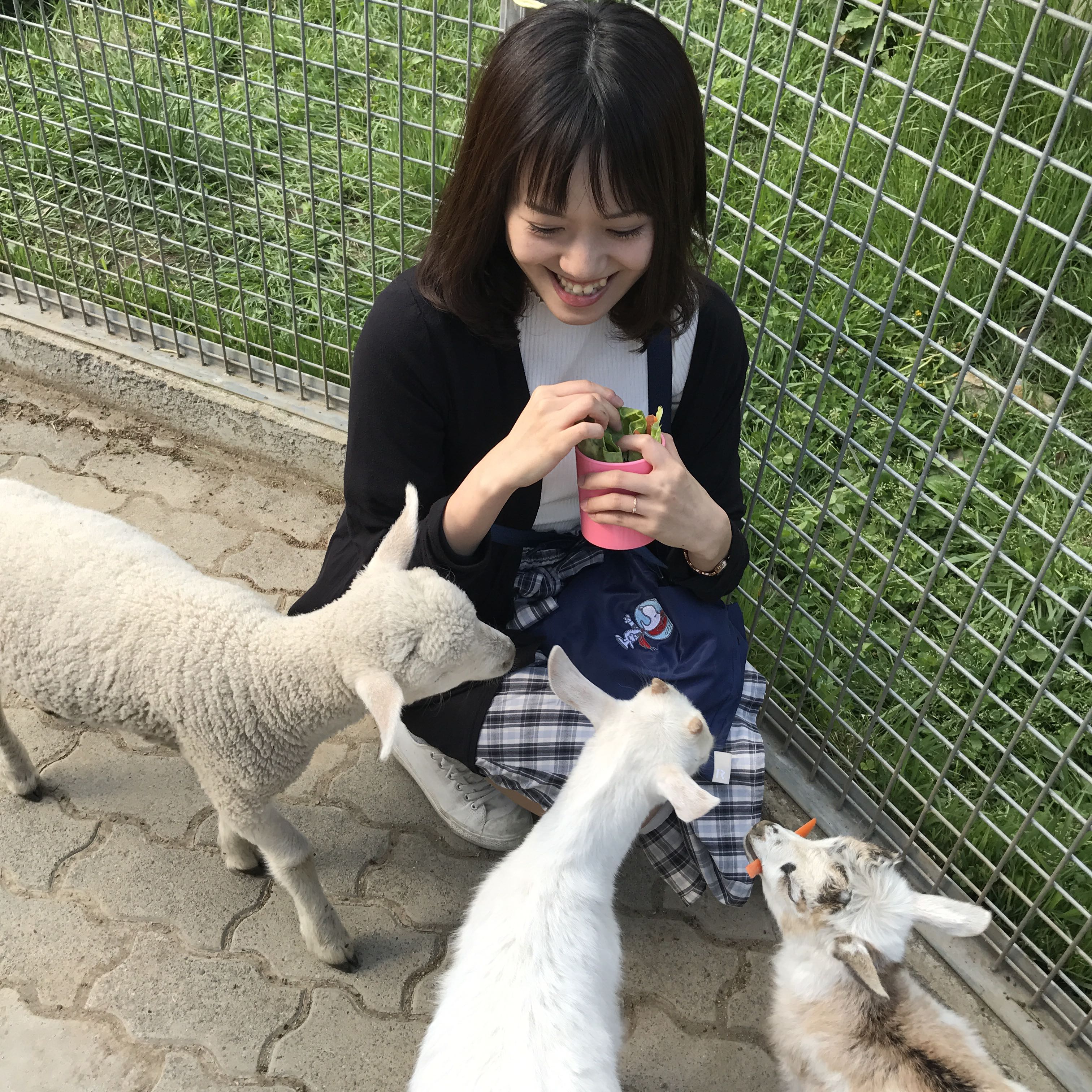 ぺこ