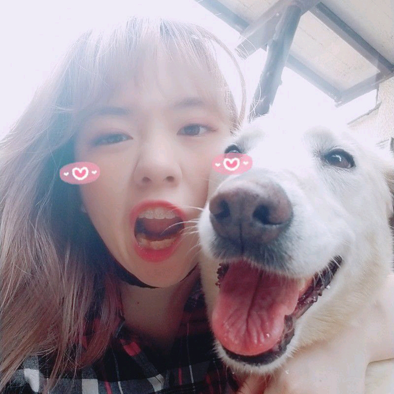 わさお