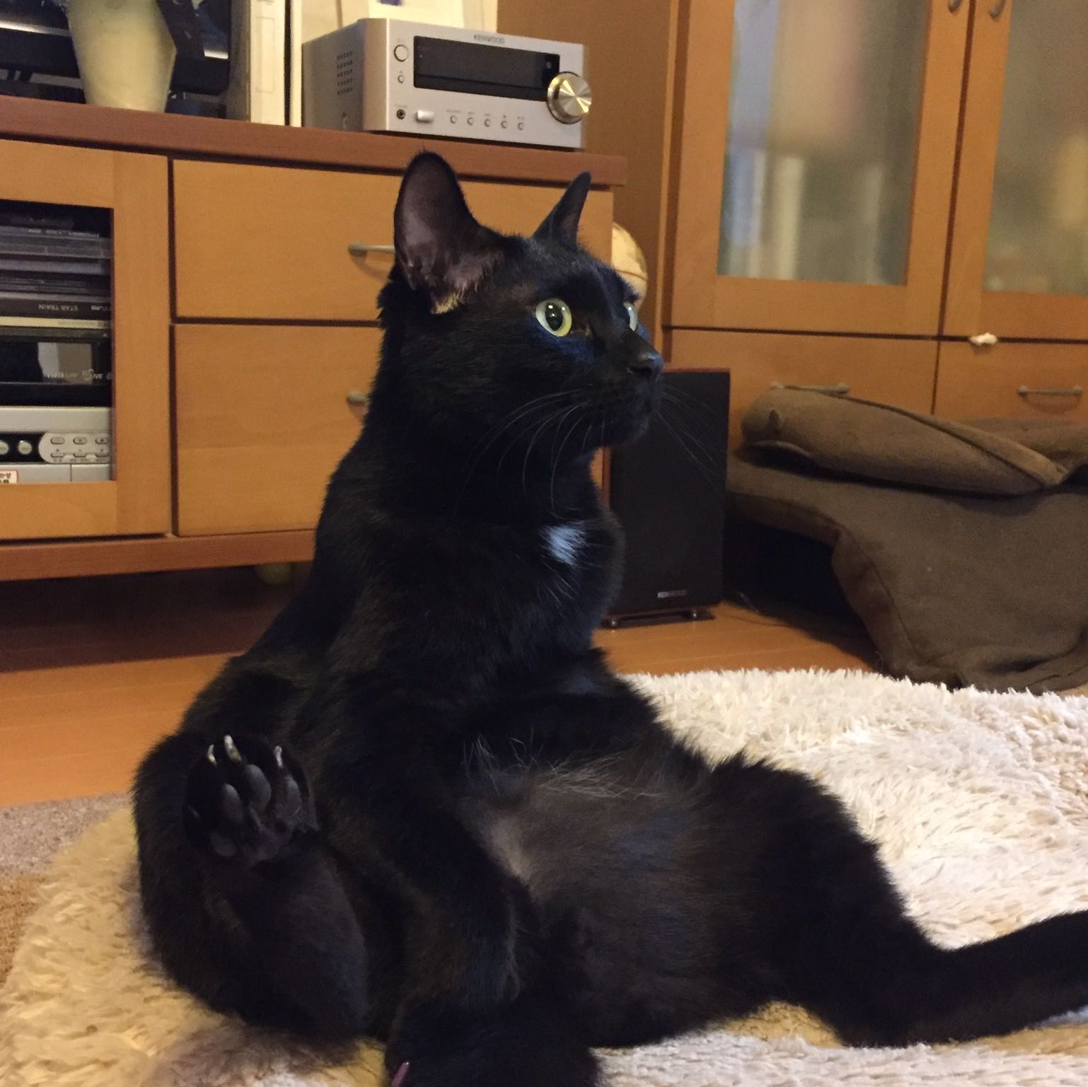 のあーる