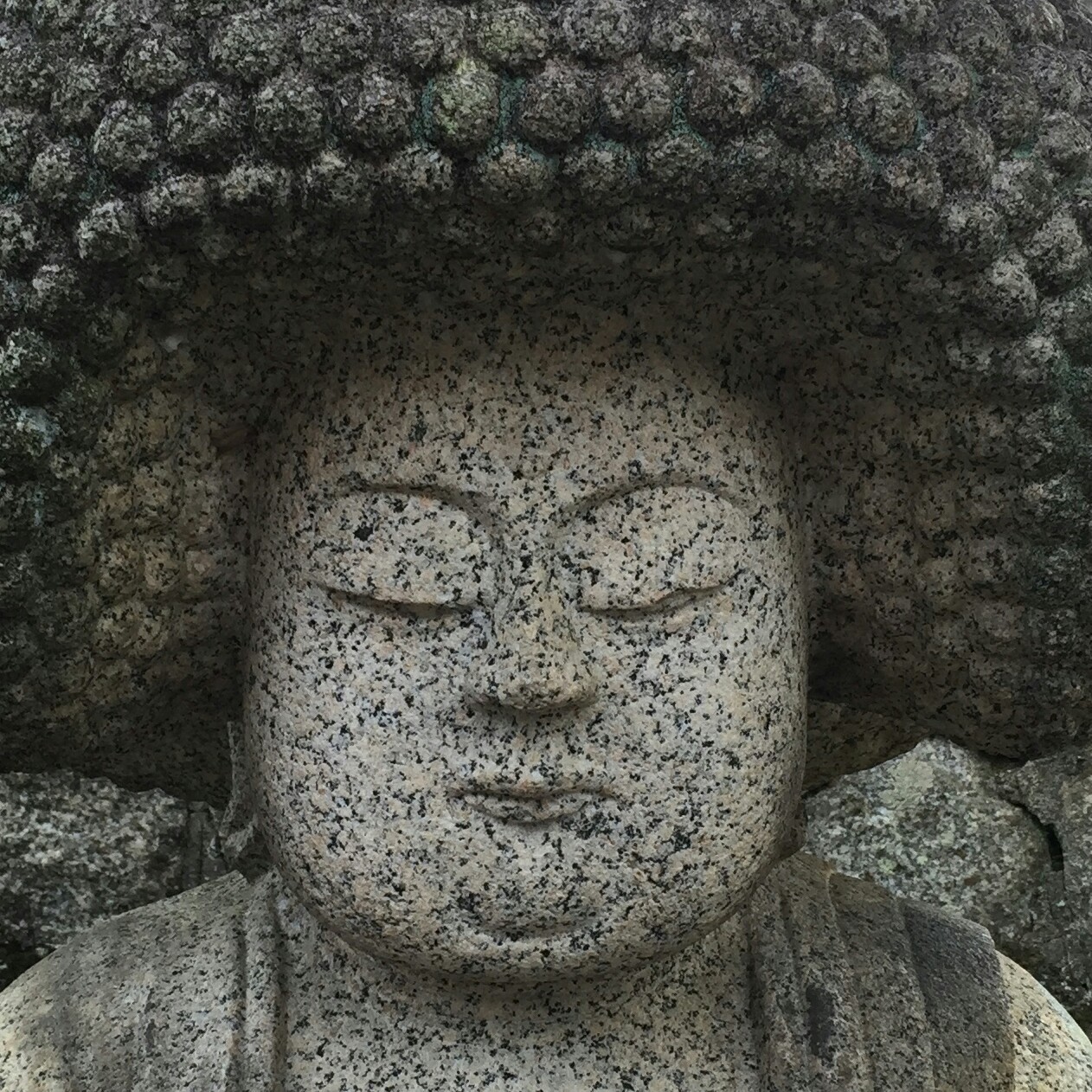 スグル