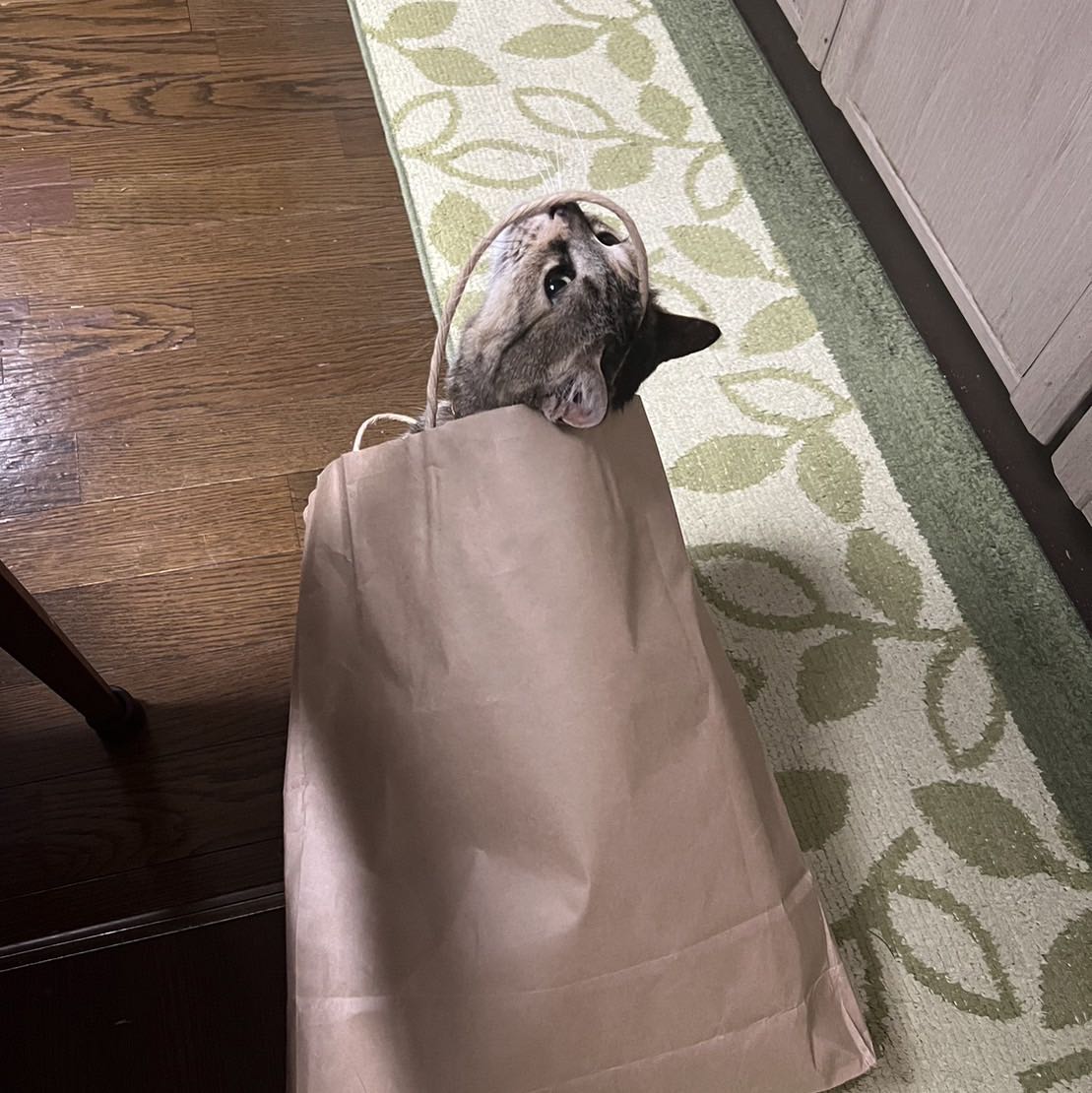 なな