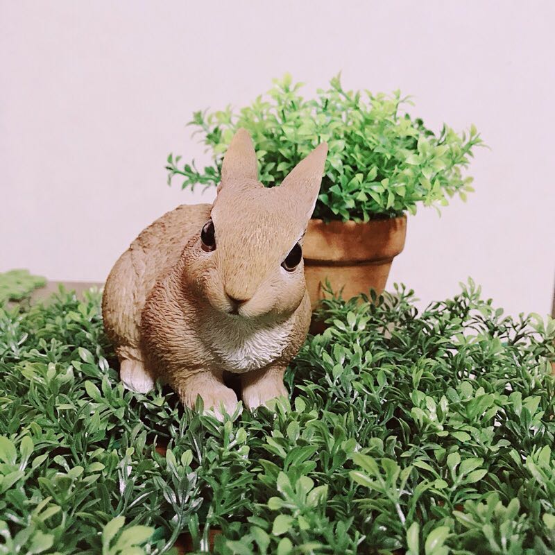 るびぃ