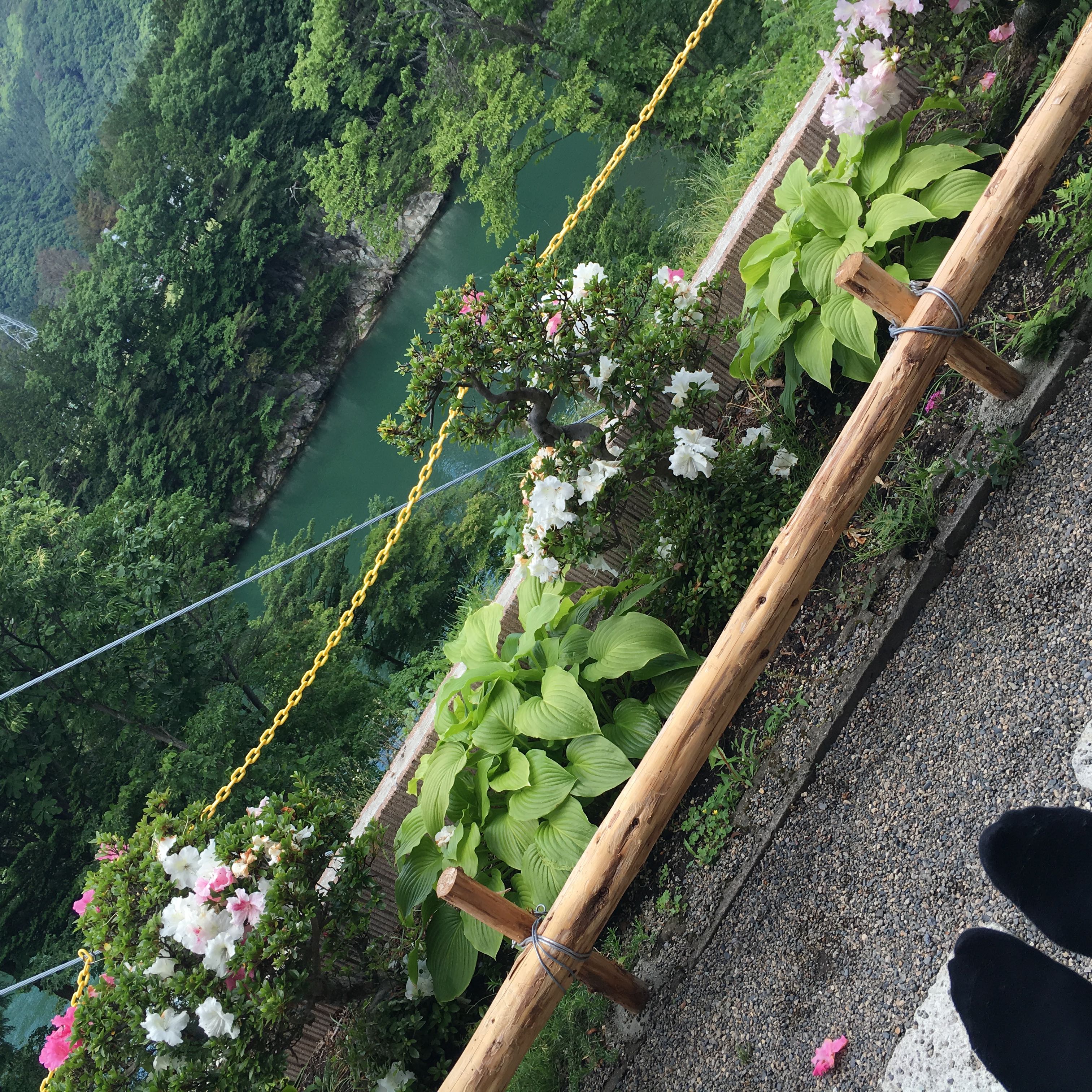 あやや