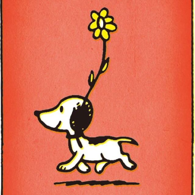 goma
