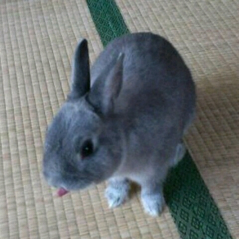 時尾