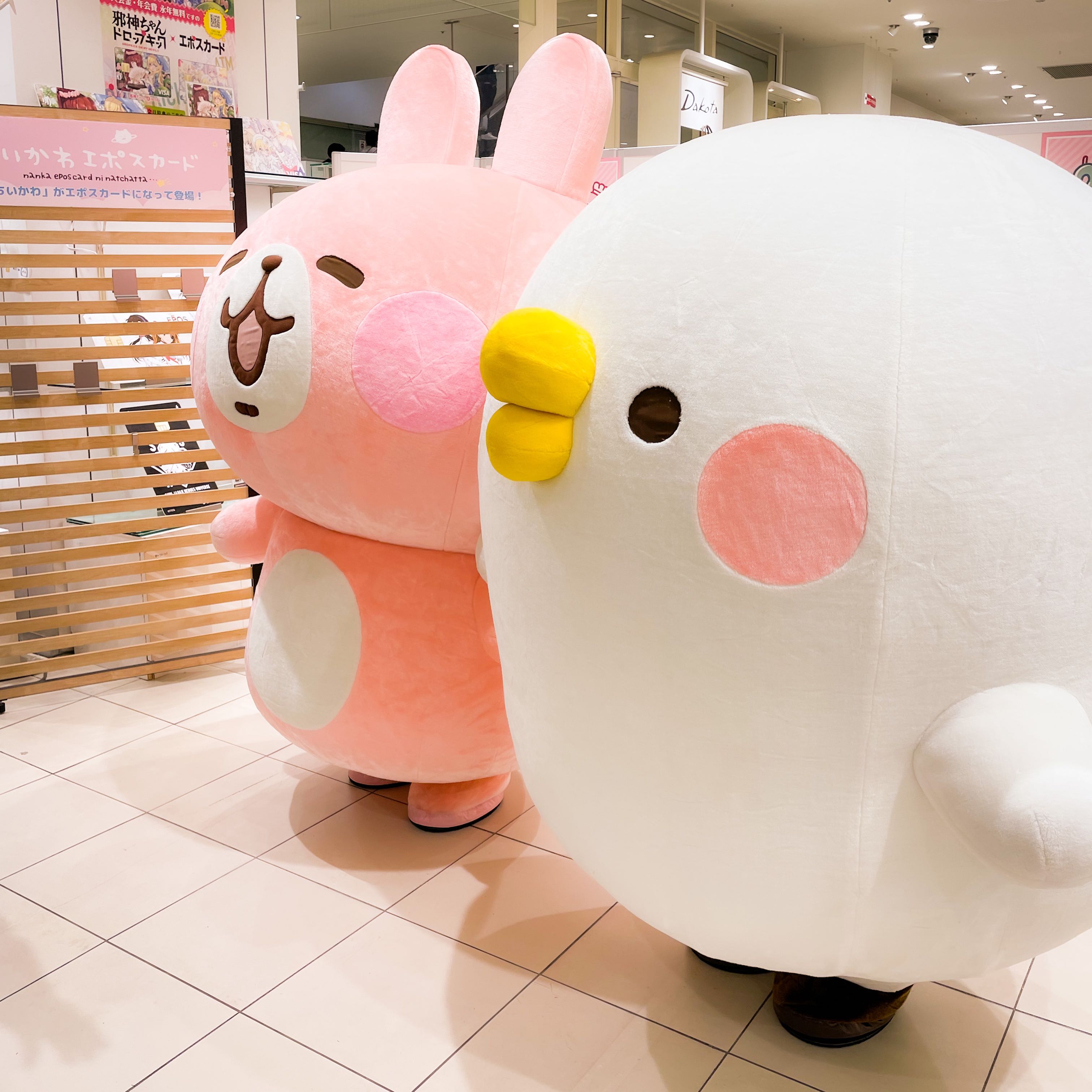 あらしゃけ