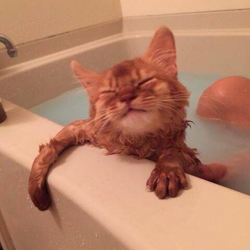 pumpukin