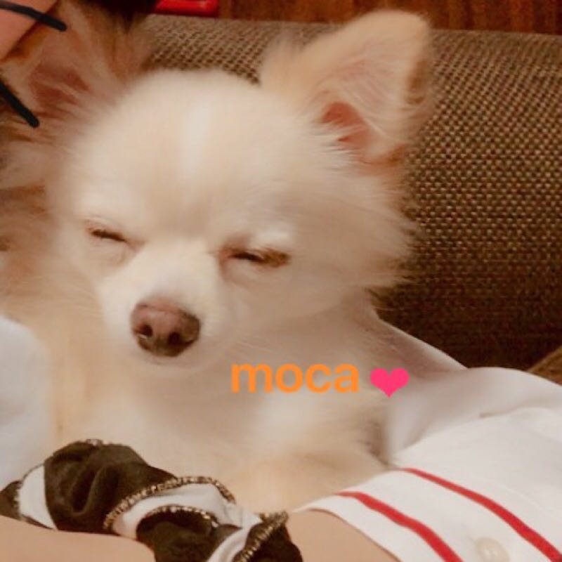 miyuki