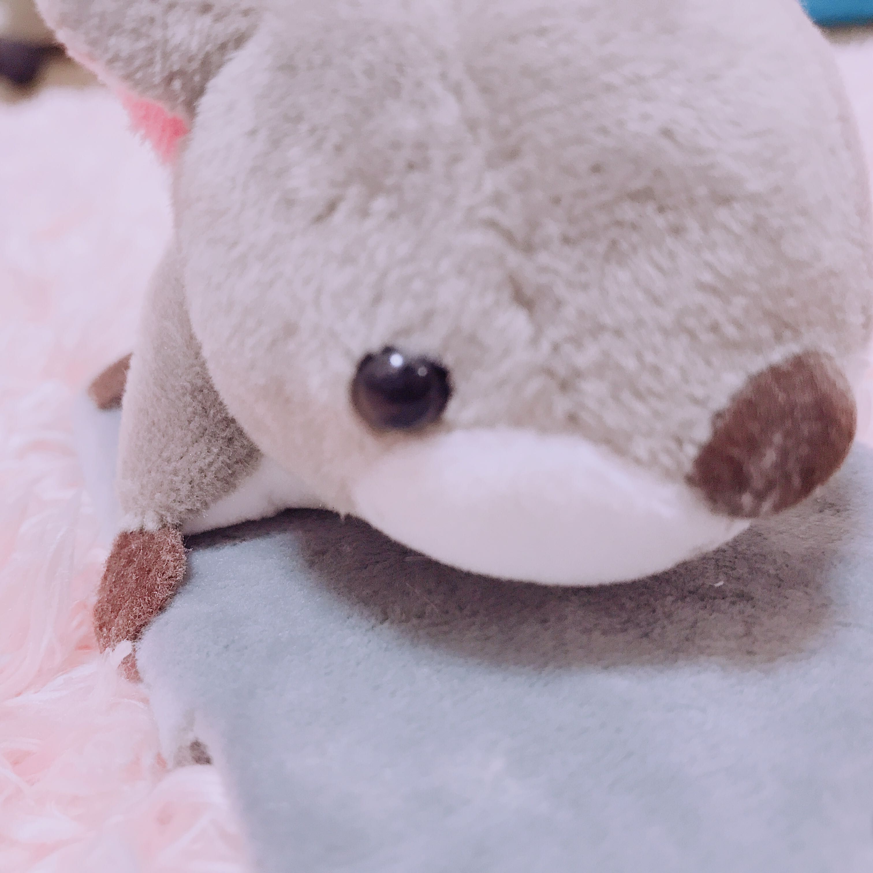 rierun