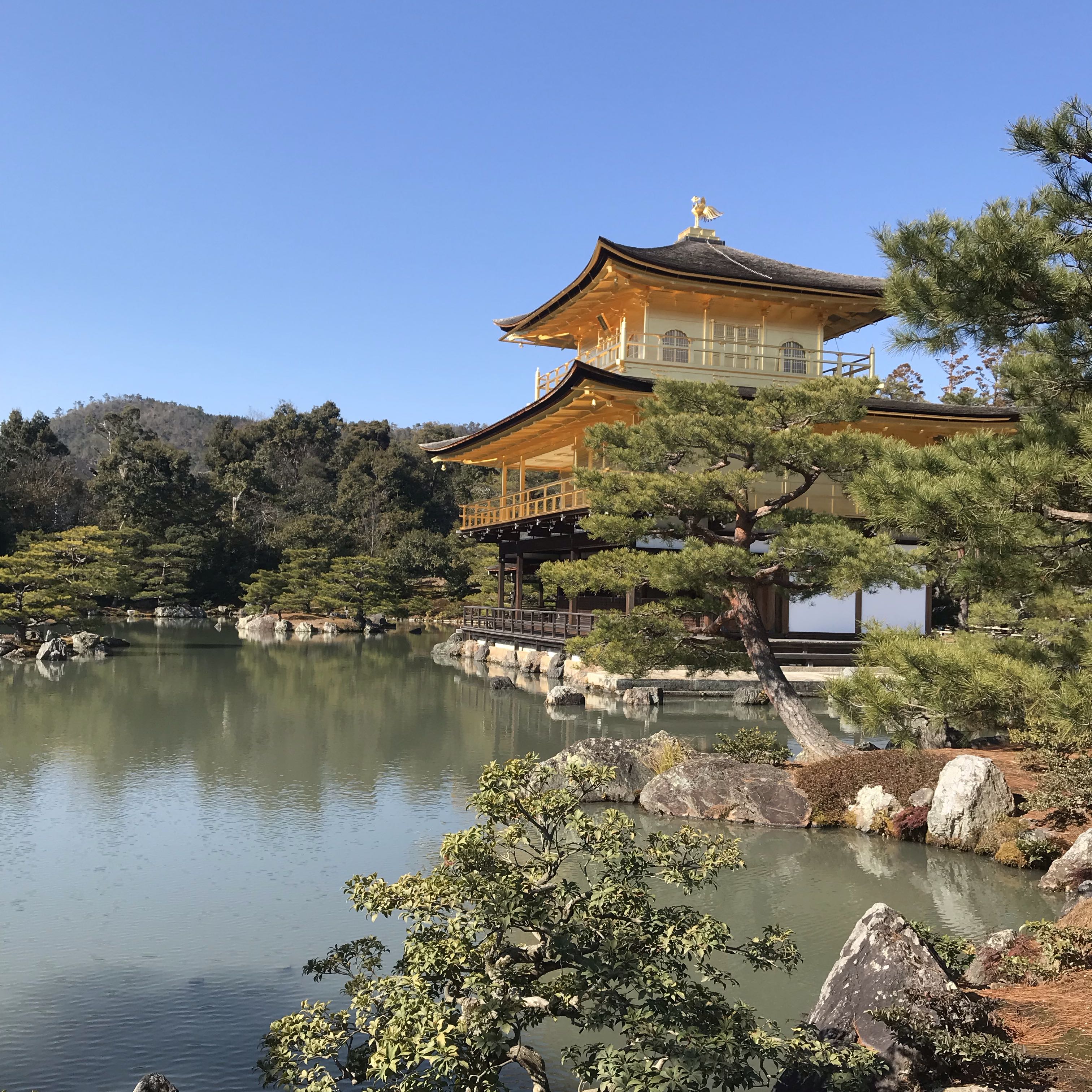 きくらげ