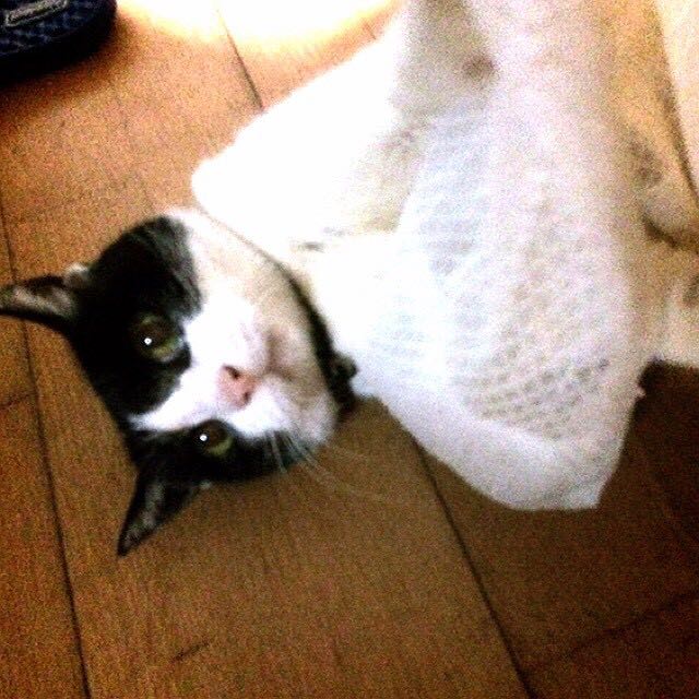 まりちゃん