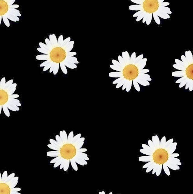 あや