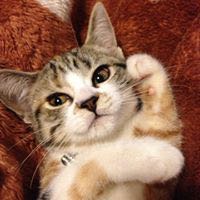 りょうこ