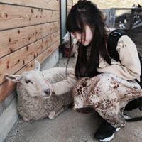 みずき