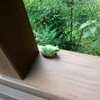 まる