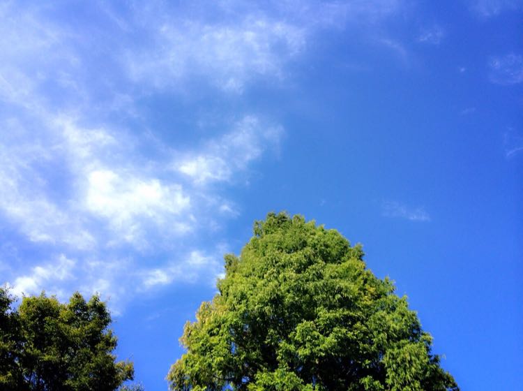 つき