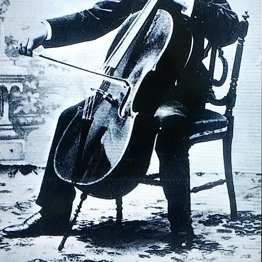 sanari